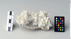 Foto von Aragonit (Eisenblüte) (NHMW-MIN-Aa944)